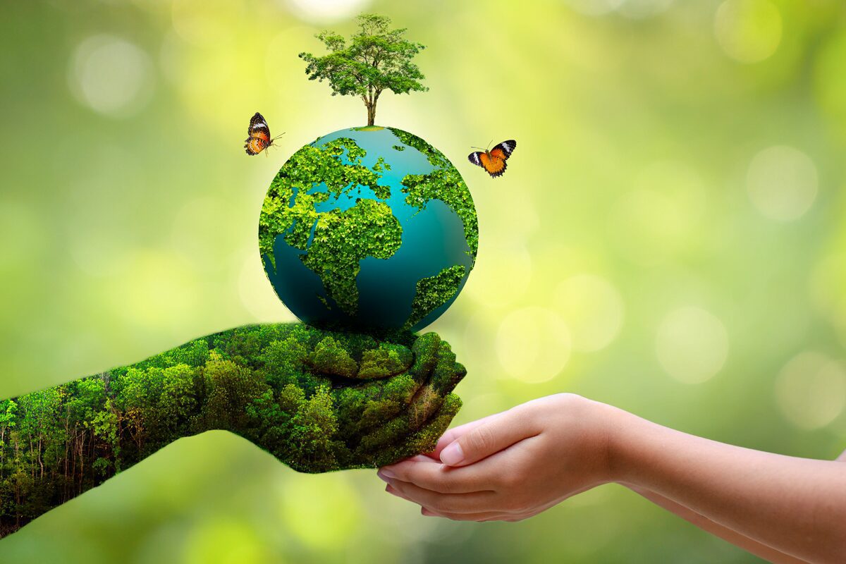 Soojin Lee’s Mission: Making ESG Accessible and Transparent